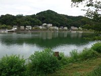 DSC00604