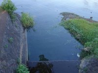 DSC00618