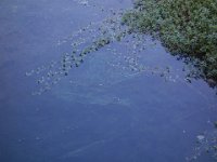 DSC00619