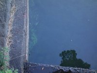 DSC00620