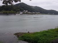 DSC00636