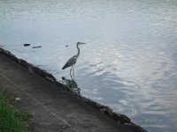 DSC00660
