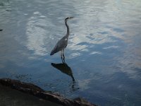 DSC00662