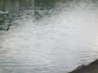 DSC00663