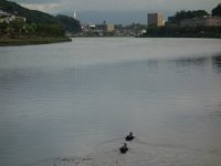 DSC00671