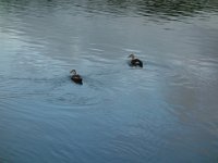 DSC00673
