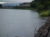 DSC00694