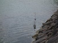 DSC00696