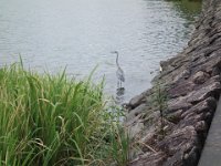 DSC00702