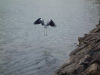 DSC00704