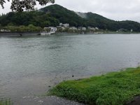 DSC00706