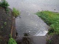 DSC00707