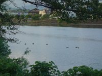 DSC00711