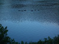 DSC00713