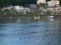 DSC00714