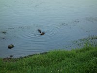 DSC00759
