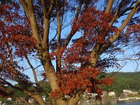 DSC00767