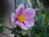 DSC00801