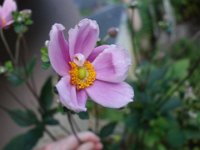 DSC00802