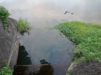 DSC00805