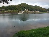 DSC00806