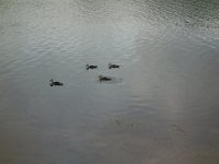 DSC00807