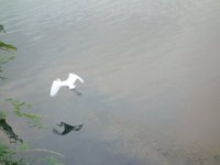 DSC00809