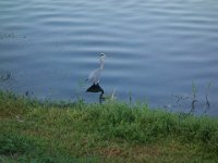DSC00834