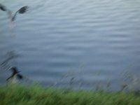 DSC00835