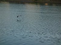 DSC00836