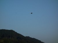 DSC00845