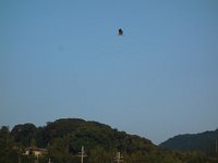 DSC00846
