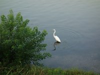 DSC00855