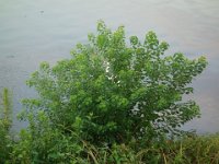 DSC00856