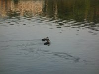 DSC00859