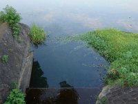 DSC00868