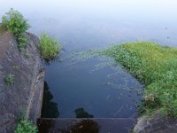 DSC00881