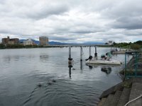 DSC00950