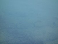 DSC00966
