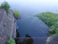 DSC00970