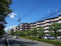 DSC00972