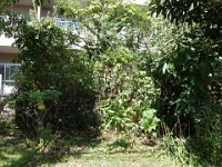 DSC00975
