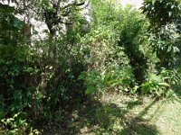 DSC00976