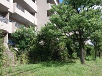 DSC00977