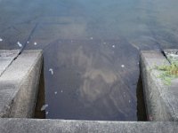 DSC00988