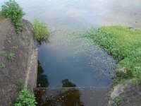 DSC00993