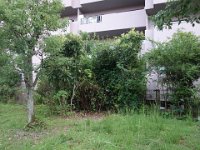 DSC00995