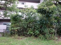 DSC00996