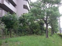 DSC00997