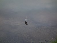 DSC01000
